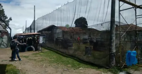 RHINOS PAINTBALL DIAGONAL 16 RHINOS PAINTBALL DIAGONAL 16
